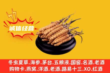 重庆秀山县回收冬虫夏草
